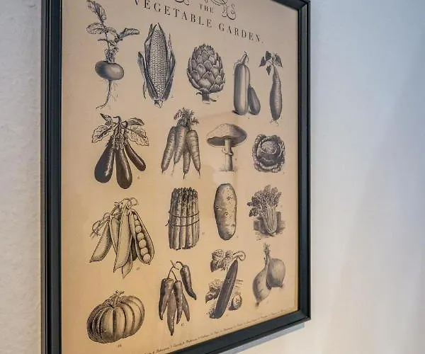 Apartament Zentral Fewo - Eg - Karli - 30qm - Kueche - Disneyplus *