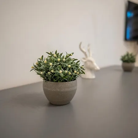 Zentral Fewo - Eg - Karli - 30qm - Kueche - Disneyplus