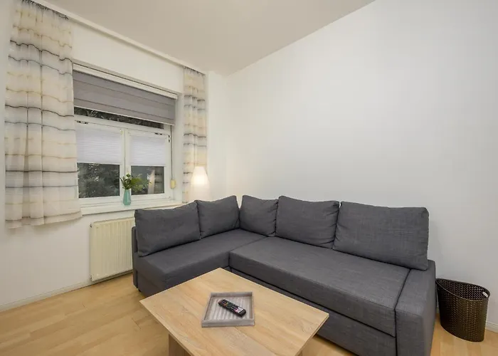 Zentral Fewo - Eg - Karli - 30qm - Kueche - Disneyplus Lipcse