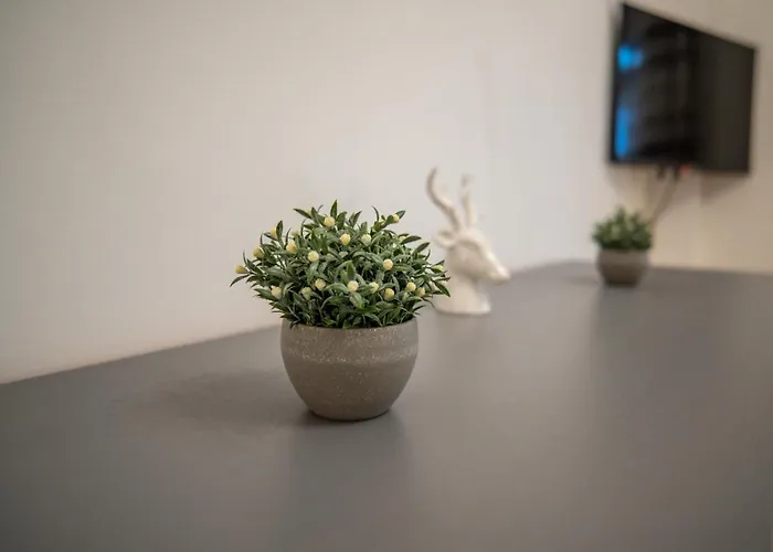 Zentral Fewo - Eg - Karli - 30qm - Kueche - Disneyplus